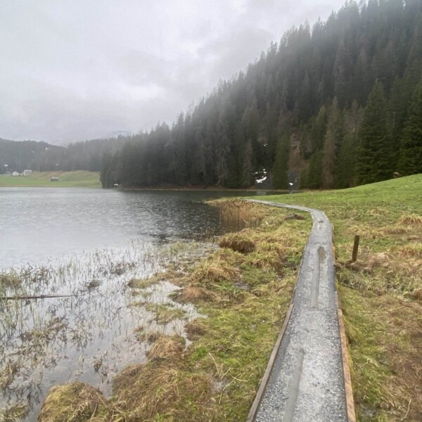 Ein schmaler Schotterweg verläuft am ruhigen Schwarzsee bei Laret entlang, gesäumt von grasbewachsenen Ufern und hohen immergrünen Bäumen. Im Hintergrund sind unter einem bewölkten Davoser Himmel neblige Hügel zu sehen.