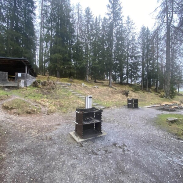 Dieser Waldpicknickplatz in der Nähe des Schwarzsees in Davos Laret verfügt über zwei Grillplätze, einen Holzunterstand auf der linken Seite und Bänke rund um eine Feuerstelle auf der rechten Seite, alles im Schatten hoher immergrüner Pflanzen unter einem bewölkten Himmel.