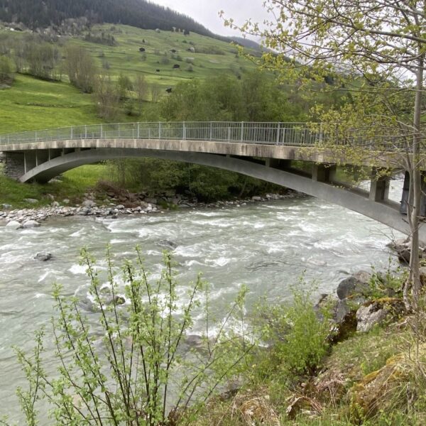 Eine Fußgängerbrücke aus Beton wölbt sich über einen schnell fließenden Fluss in einer grünen ländlichen Landschaft mit Hügeln und vereinzelten Bäumen im Hintergrund und belaubten Zweigen im Vordergrund.