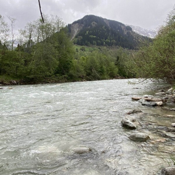 Ein schnell fließender Fluss mit klarem Wasser fließt durch ein üppig grünes Tal, umgeben von Bäumen und Felsen, mit bewaldeten Hügeln und einem bewölkten Himmel im Hintergrund.