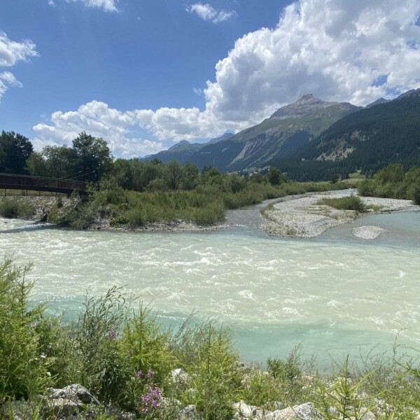 Ein breiter, schnell fließender Fluss schlängelt sich durch eine üppig grüne Landschaft mit Bergen im Hintergrund, unter einem teilweise bewölkten Himmel. Links überquert eine Holzbrücke den Fluss, umgeben von Bäumen und Wildblumen.