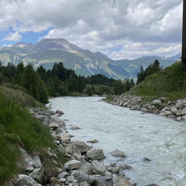 Ein schnell fließender Fluss mit felsigen Ufern schlängelt sich durch grüne Hügel und Bäume in der Nähe von Pontresina, mit Bergen und einem bewölkten Himmel im Hintergrund.
