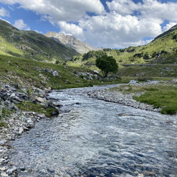 Ein klarer Gebirgsbach fließt über Felsen durch ein grünes Tal, umgeben von grasbewachsenen Hügeln und fernen Gipfeln unter einem teilweise bewölkten blauen Himmel.