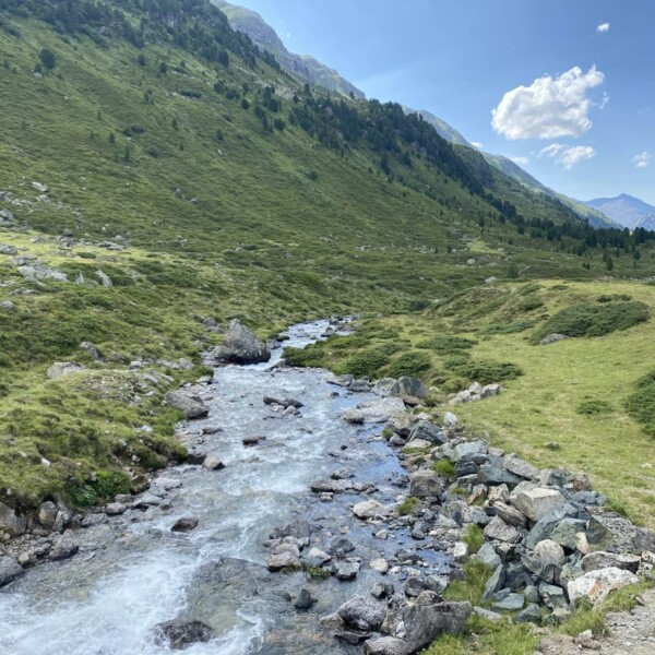Ein klarer Gebirgsbach fließt durch ein grünes Tal mit felsigen Ufern, umgeben von sanften Grashügeln und vereinzelten Bäumen unter einem blauen Himmel mit einigen Wolken.
