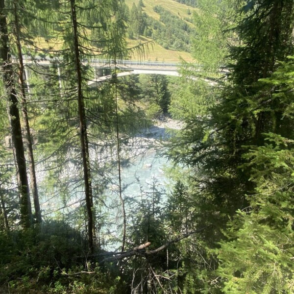 Ein Blick durch hohe grüne Kiefern offenbart einen klaren Fluss darunter und eine Straßenbrücke, die darüber führt. Im Hintergrund sind im hellen Sonnenlicht grasbewachsene Hügel zu sehen.
