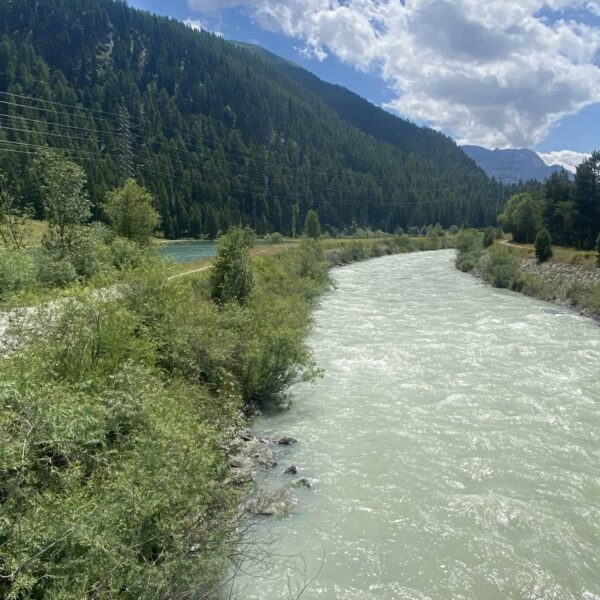 Ein schnell fließender, milchiger Fluss schlängelt sich unter einem teilweise bewölkten Himmel durch einen üppigen, grünen Wald mit Bergen im Hintergrund. Stromleitungen verlaufen parallel zum Fluss entlang eines Feldwegs.