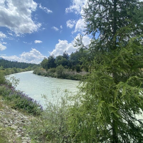 Ein Fluss fließt durch eine üppige, grüne Landschaft mit Wildblumen und Bäumen unter einem teilweise bewölkten Himmel. Die Szene ist hell und ruhig, im Hintergrund sind Berge zu sehen.