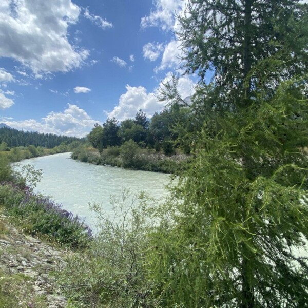 Ein Fluss fließt durch eine üppige, grüne Landschaft mit Wildblumen und Bäumen unter einem teilweise bewölkten Himmel. Die Szene ist hell und ruhig, im Hintergrund sind Berge zu sehen.