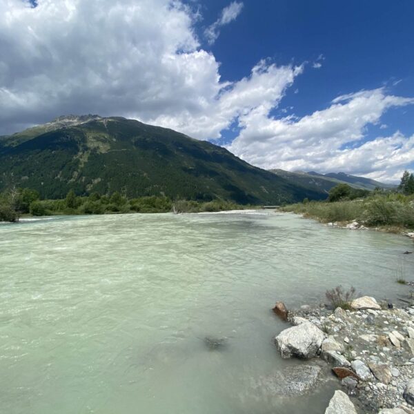 Ein breiter, hellblauer Fluss fließt durch ein üppiges, grünes Tal mit felsigen Ufern. Im Hintergrund erheben sich Berge unter einem teilweise bewölkten blauen Himmel.