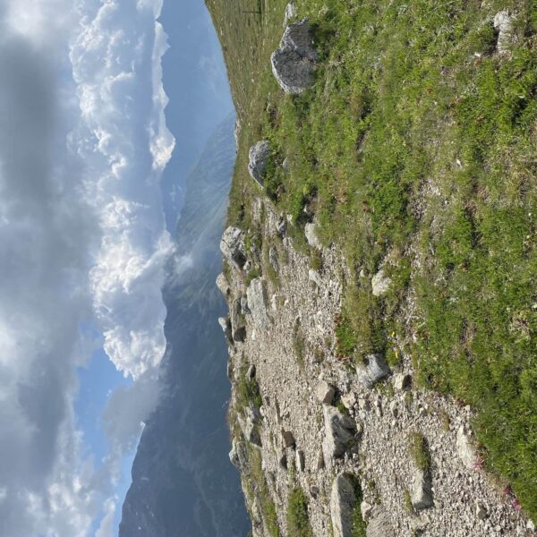 Ein felsiger, von grünem Gras gesäumter Bergpfad führt unter einem Himmel voller dramatischer, grauer Wolken zu den fernen, nebligen Gipfeln in der Nähe des Berninapasses.