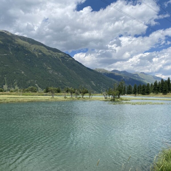 Ein ruhiger Engadinersee mit klarem blaugrünem Wasser, umgeben von grasbewachsenen Ufern und Bäumen, liegt am Fuße hoher, grüner Berge in der Schweiz unter einem teilweise bewölkten Himmel.