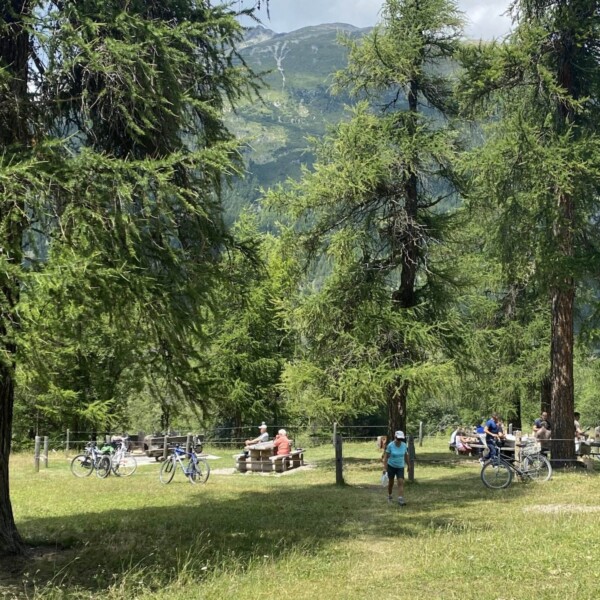 Menschen sitzen an Picknicktischen und ruhen sich mit ihren Fahrrädern auf einer grasbewachsenen, baumbestandenen Fläche am Lej da Gravatscha aus, umgeben von der atemberaubenden Engadiner Bergwelt der Schweiz an einem sonnigen Tag. Eine Person geht auf der grünen Wiese auf die Kamera zu.