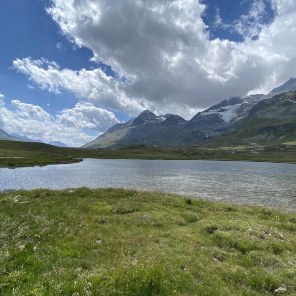 Eine ruhige Berglandschaft nahe Lej Pitschen am Berninapass mit einem ruhigen See, umgeben von grünem Gras, schroffen Gipfeln und einem teilweise bewölkten Himmel. Helles Sonnenlicht unterstreicht die natürliche Schönheit der Szenerie.