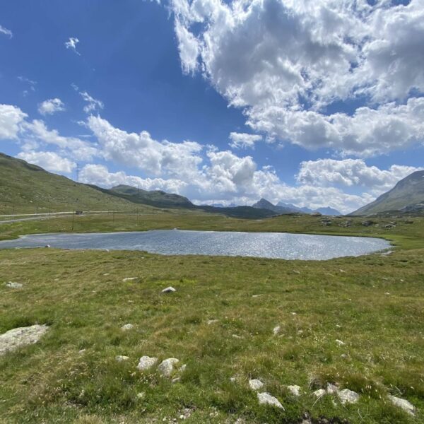 Ein kleiner, ruhiger See – Lej Pitschen – liegt in einem grasbewachsenen Alpental unter einem teilweise bewölkten Himmel in der Nähe des Berninapasses, umgeben von grünen Hügeln und fernen Bergen. Im Vordergrund sind Felsen verstreut.