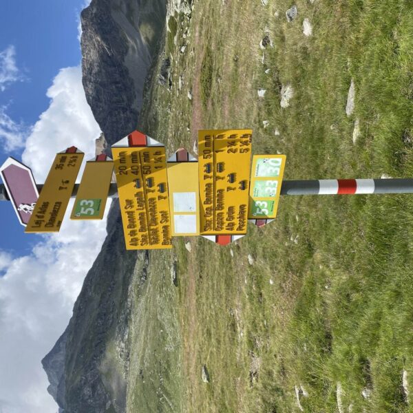 Ein Wegweiser mit mehreren gelben und rosafarbenen Schildern zeigt die Wanderrichtung zum Lej Pitschen und zum Berninapass sowie die Uhrzeiten an, in einer grasbewachsenen Berglandschaft mit felsigen Gipfeln und einem See unter einem teilweise bewölkten Himmel.