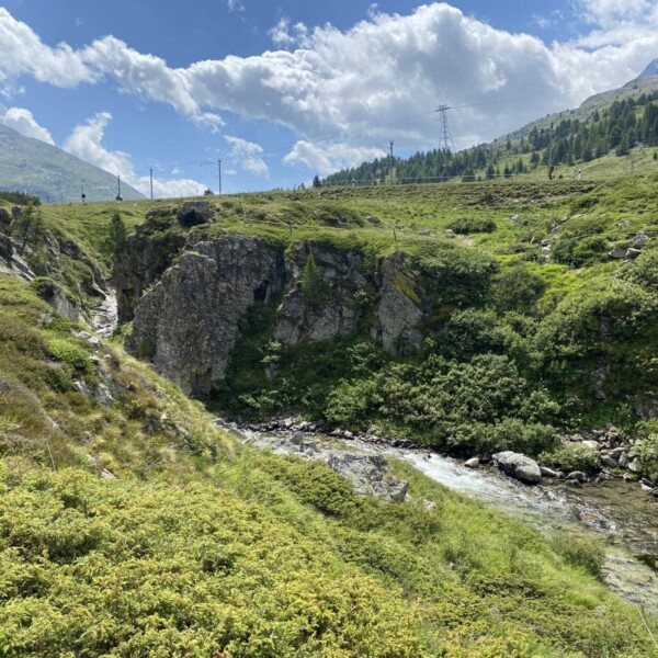 Ein felsiger Bach, der Berninabach (Ova da Bernina), fließt durch ein üppig grünes Tal, umgeben von Hügeln und Bäumen unter einem teilweise bewölkten blauen Himmel, mit fernen Bergen im Hintergrund und über der Landschaft sichtbaren Stromleitungen.