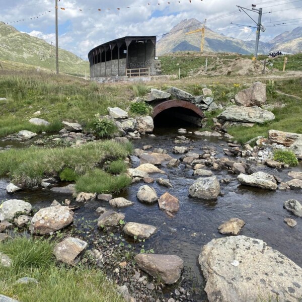 Ein felsiger Bach, der Berninabach, fließt unter einer kleinen Metallbrücke durch eine grasbewachsene Berglandschaft. Im Hintergrund sind eine alte Holzkonstruktion und Stromleitungen zu sehen. Unter einem bewölkten Himmel sind die schneebedeckten Gipfel der Ova da Bernina zu sehen.