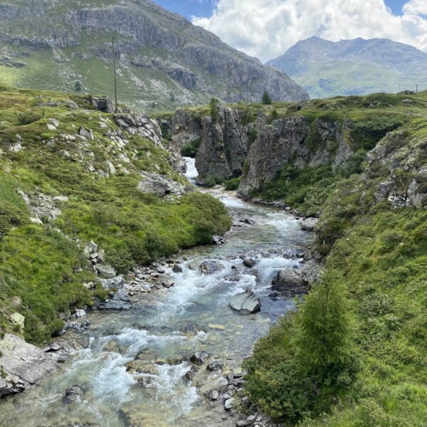 Ein klarer Gebirgsbach, der Berninabach, fließt durch ein felsiges, grünes Tal in der Nähe von Ova da Bernina, mit majestätischen Berninabergen und einem blauen, wolkenverhangenen Himmel im Hintergrund.