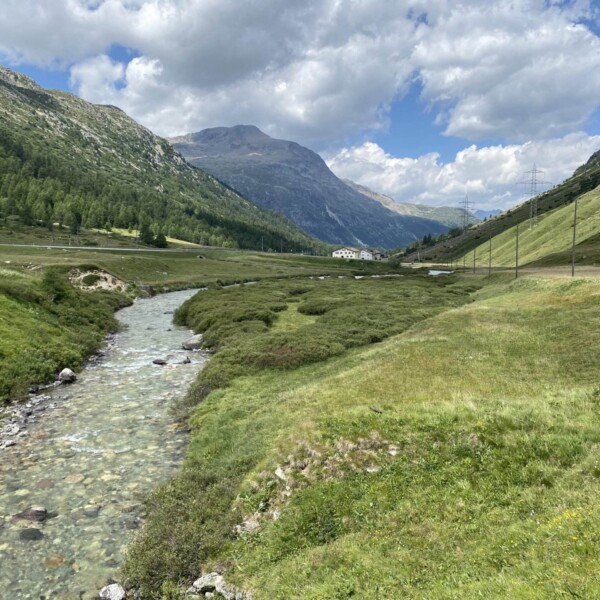 Ein klarer Bach, der Berninabach, fließt durch ein üppig grünes Tal, umgeben von Bergen, mit ein paar vereinzelten Wolken am blauen Himmel und einem in der Ferne in die Landschaft eingebetteten Gebäude.