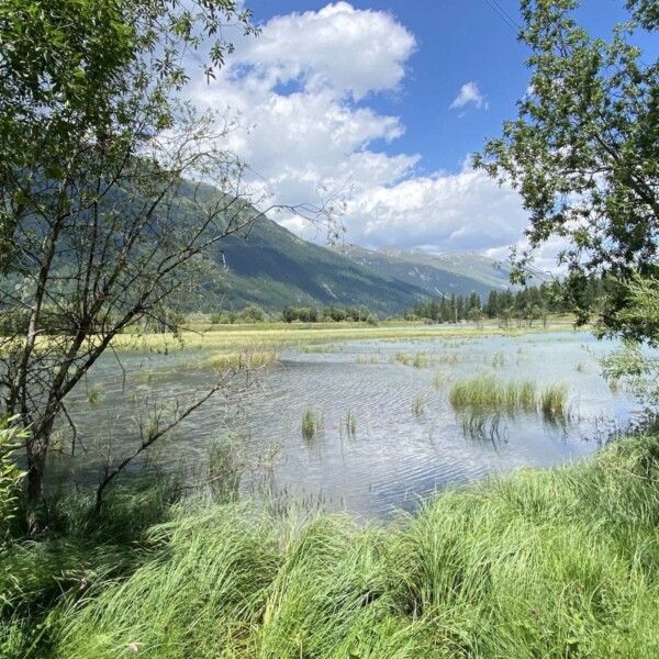 Saftiges grünes Gras und Bäume umgeben einen ruhigen, flachen See mit Schilf im Val Champagna, vor der Kulisse von Bergen und einem teilweise bewölkten blauen Himmel.