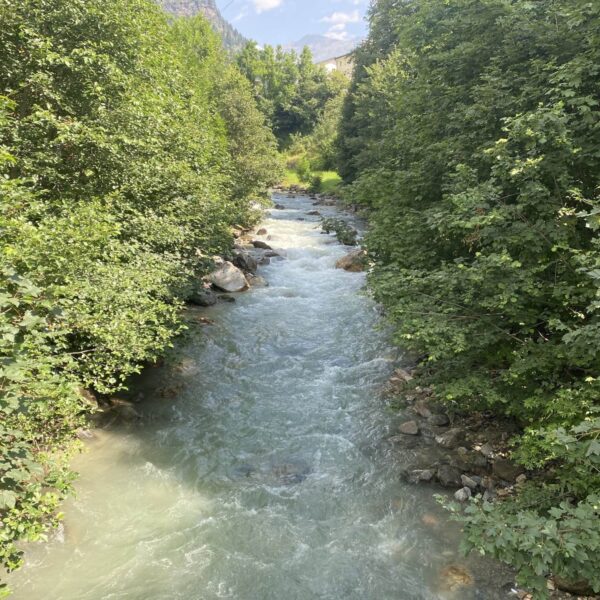 Ein klarer, schnell fließender Fluss fließt durch dichten grünen Wald, mit Felsen am Wasserrand und hohen Bäumen auf beiden Seiten unter einem teilweise bewölkten Himmel.