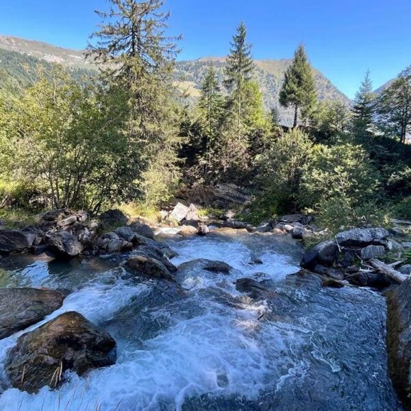 Ein klarer Gebirgsbach, bekannt als Brenno del Lucomagno, fließt über Felsen, umgeben von üppigen grünen Bäumen und Büschen, mit bewaldeten Hügeln und einem blauen Himmel im Hintergrund.