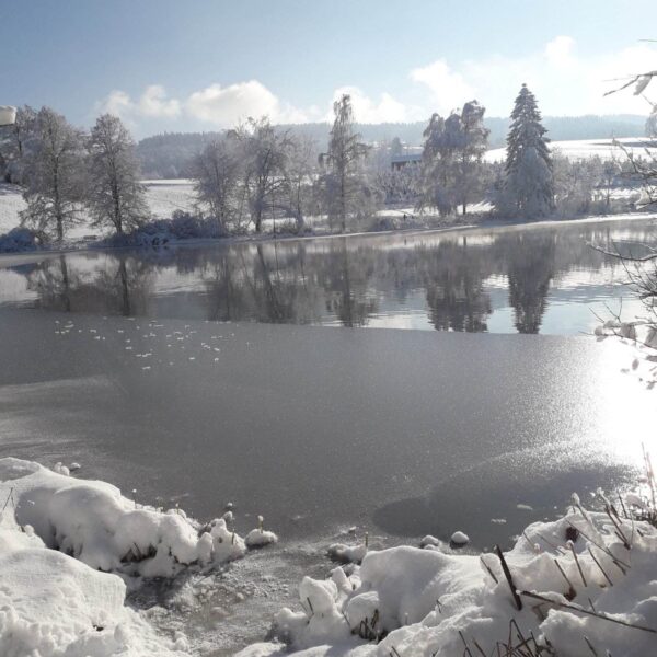 Eine schneebedeckte Landschaft am Bettenauer Weiher zeigt Bäume, die sich in einem teilweise zugefrorenen See unter einem klaren blauen Himmel spiegeln. Schnee bedeckt den Boden und die Äste der Bäume und schafft eine friedliche Winterszene.