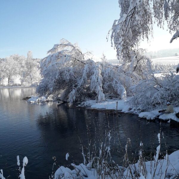 Ein ruhiger Fluss, gesäumt von Bäumen und Pflanzen, die an einem hellen Wintertag schwer mit Schnee bedeckt sind. Der Bettenauer Weiher schimmert unter einem klaren blauen Himmel und im Hintergrund eine Schneelandschaft.