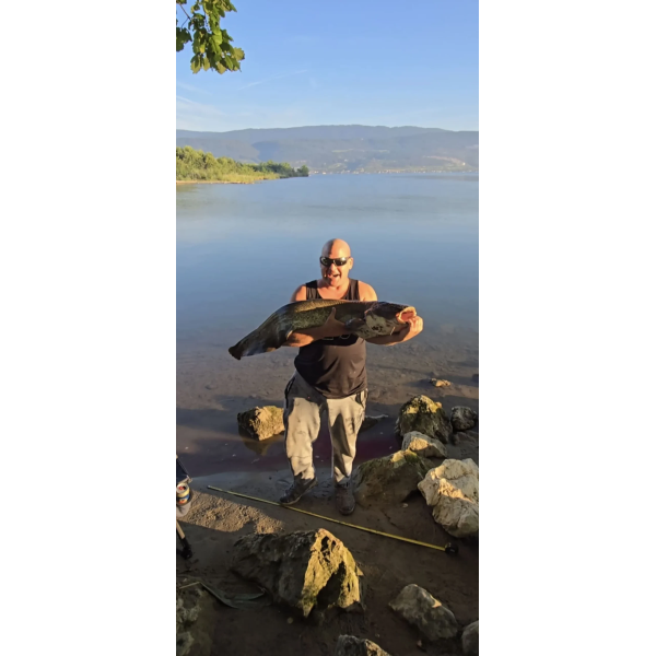 Eine lächelnde Person in ärmellosem Hemd und Sonnenbrille steht an einem ruhigen See und hält stolz einen großen Fisch in beiden Händen. Am Ufer sind Felsen und Angelausrüstung zu sehen, im Hintergrund sind Berge zu sehen.