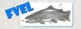 Logo FV Ergolz Liestal