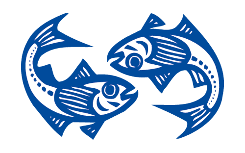 Logo FV Stausee Killwangen