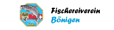 Logo FV Bönigen