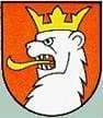 Logo FV Rhein-Augst