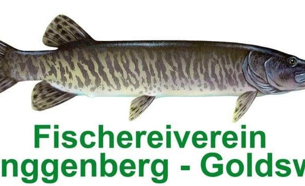 Logo FV Ringgenberg-Goldswil