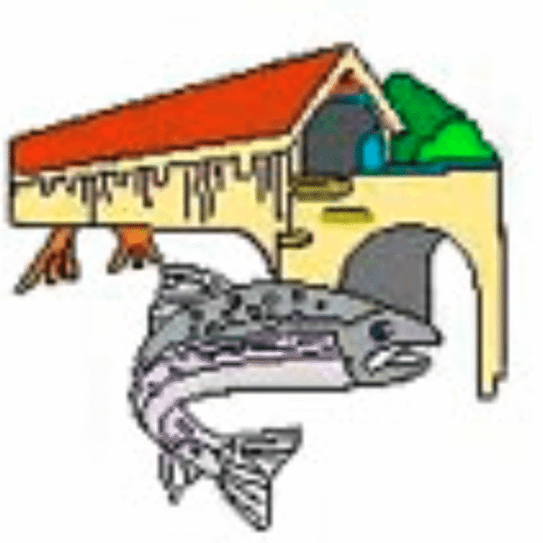 Logo FV Rheinau