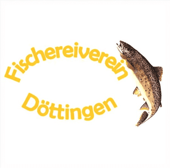 Logo FV Döttingen