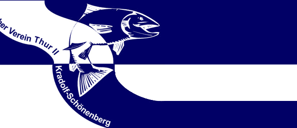 Logo FV Thur 2, Kradolf-Schönenberg