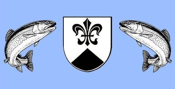 Logo FV Surses