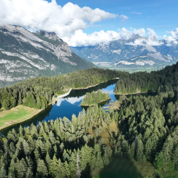 Luftaufnahme eines ruhigen Sees, umgeben von dichtem Kiefernwald, mit hohen Bergen im Hintergrund unter einem teilweise bewölkten blauen Himmel.