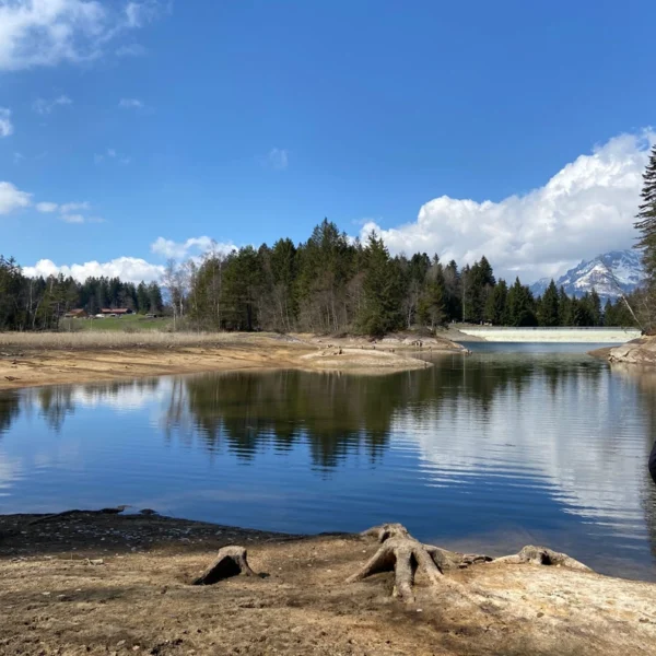 Ein ruhiger See spiegelt den blauen Himmel, weiße Wolken und die umliegenden immergrünen Bäume wider; im Vordergrund ist ein sandiges, felsiges Ufer mit freiliegenden Baumwurzeln zu sehen und im Hintergrund sind schneebedeckte Berge zu sehen.