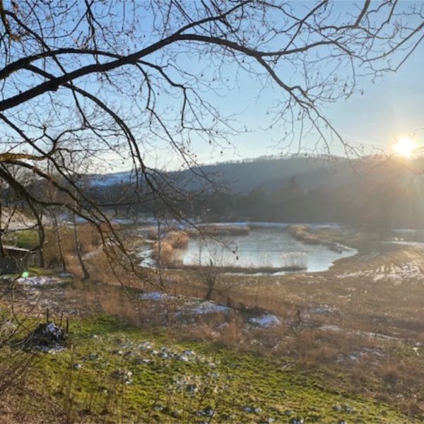Sonnenaufgang über einem ruhigen Teich bei Rubigen, umgeben von Gras und kahlen Bäumen in einer ländlichen Landschaft. Im Hintergrund sind Hügel und Schwandbach zu sehen, auf dem Boden liegen vereinzelte Schneeflecken.