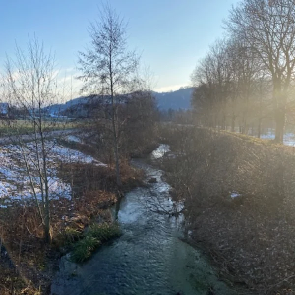 Ein kleiner Bach schlängelt sich durch die blattlose Winterlandschaft von Rubigen, mit Schneeflecken auf dem Boden unter einem klaren blauen Himmel und sanftem Sonnenlicht.