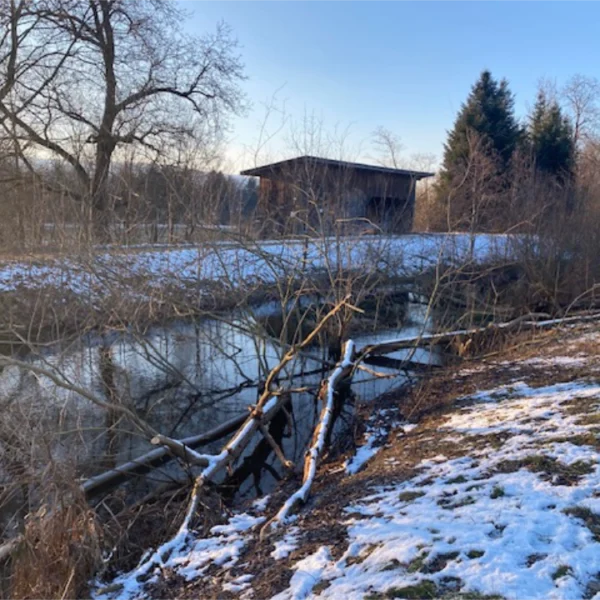 Der Schwandbach schlängelt sich durch eine verschneite Wiese bei Rubigen. Kahlköpfige Bäume und Sträucher säumen seine Ufer, im Hintergrund steht unter strahlend blauem Himmel ein Holzschuppen. Abgefallene Äste liegen quer über dem sanften Fluss.