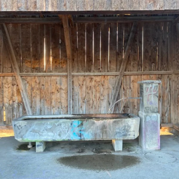 Ein alter, verwitterter und mit Graffiti besprühter Wassertrog und eine Pumpe aus Stein stehen in einem rustikalen Holzschuppen in Schwandbach. Sonnenlicht wirft Schatten durch die Lamellen.