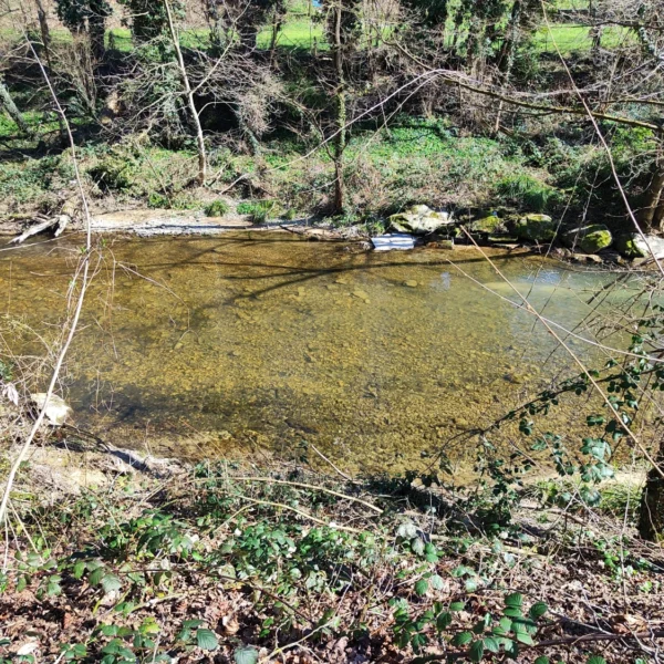 Ein flacher, klarer Fluss fließt durch ein Waldgebiet mit kahlen Bäumen und moosbewachsenen Felsen am Ufer. Sonnenlicht wirft Schatten auf das Wasser und die umgebende Vegetation.