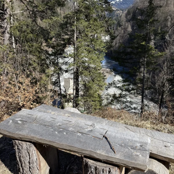 Von einer rustikalen Holzbank aus Baumstämmen aus hat man Aussicht auf einen Fluss, der sich durch ein bewaldetes Tal schlängelt. Im Hintergrund sind unter einem klaren blauen Himmel hohe Bäume und schneebedeckte Berge zu sehen.