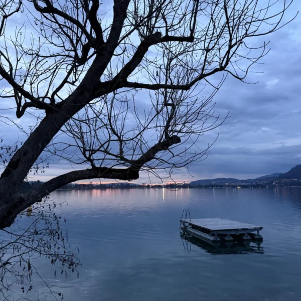Ein kahler Baum umrahmt einen ruhigen See in der Abenddämmerung. In Ufernähe befindet sich eine schwimmende Holzplattform, in der Ferne Hügel unter einem bewölkten Himmel. Sanftes Abendlicht spiegelt sich im Wasser.