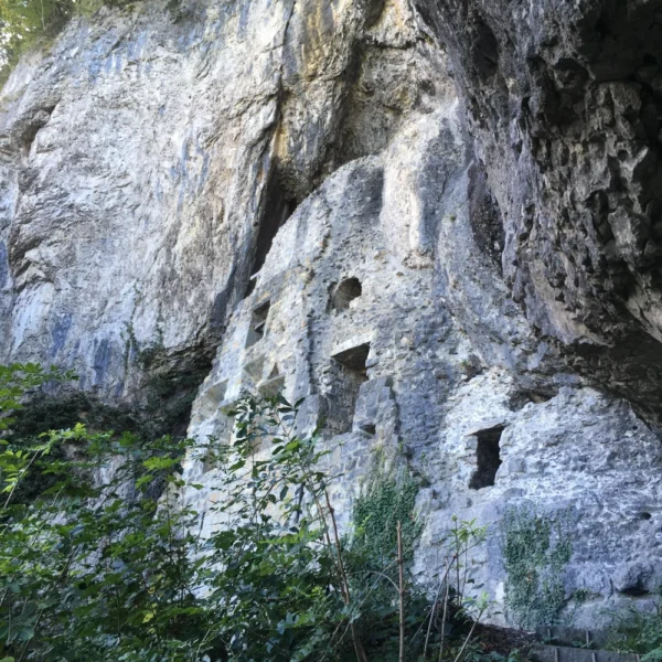Aufstieg vom Wichenstein Weiher zur Burgruine Wichenstein