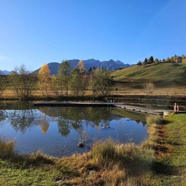 Idyllischer Davos Munts See mit Bergpanorama und Spiegelung der Bäume im Wasser.