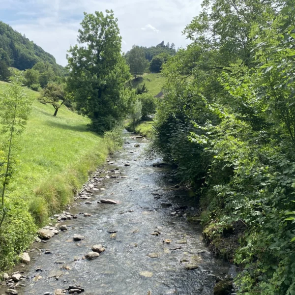 Der schmale, felsige Berschnerbach fließt durch eine üppig grüne Landschaft, gesäumt von Bäumen und grasbewachsenen Hügeln unter einem teilweise bewölkten Himmel.